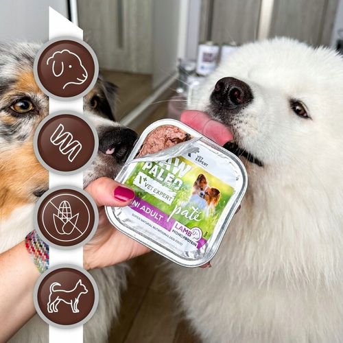 Mokra karma dla psów dorosłych małych ras jagnięcina Raw Paleo Pate 12x150g na Arena.pl