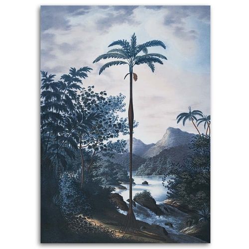 Obraz na płótnie – Canvas, Dżungla 50x70 na Arena.pl