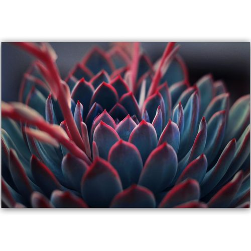 Deco Panel, Piękna roślina 90x60 na Arena.pl