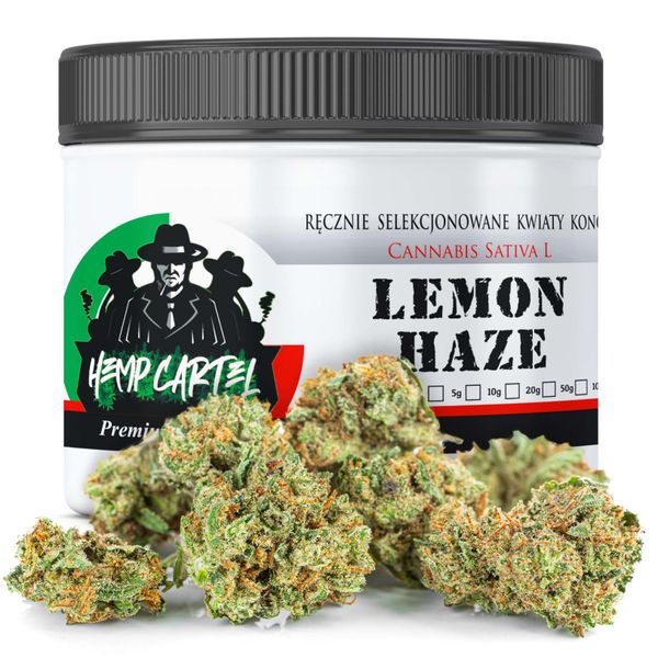 Susz konopny CBD | Lemon Haze | HOLENDER | 1g zdjęcie 1