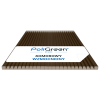 Poliwęglan komorowy ProBrand, WZMOCNIONY 3000x1050 dymiony brąz 8mm