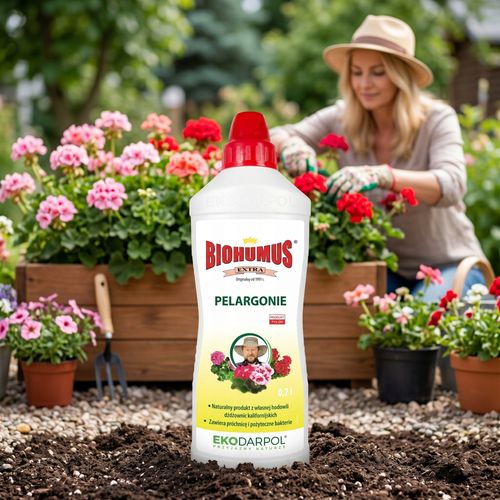 ekodarpol biohumus extra pelargonia 0,7l na Arena.pl