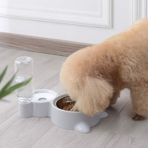 Miska na karmę i wodę z dozownikiem wody na Arena.pl