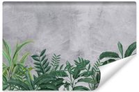 Fototapeta Zielone LIŚCIE Beton Efekt 3D 270cm x 180cm