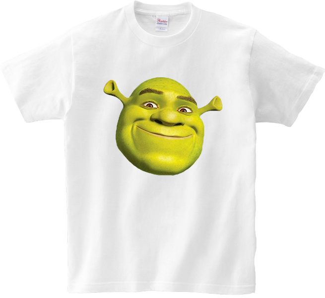 Koszulka T-shirt Shrek zdjęcie 1