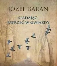Spadając, patrzeć w gwiazdy zdjęcie 1