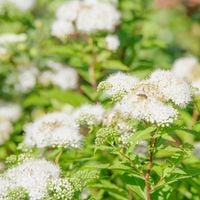 product-compare-57884722