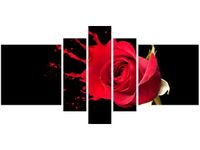 80CM 160CM OBRAZ 5 ELEM RÓŻANY PLUSK DRUK ŚCIENNY