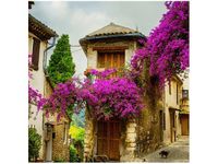 50X50CM STARE MIASTO PROWANSJI OBRAZ