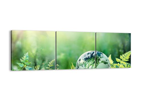 Obraz Na Płótnie - Globus Paproć - 90X30 Cm - Ca90X30-4041 na Arena.pl