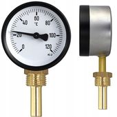 Termometr tarczowy pionowy radialny 63mm 1/2 AHQ+