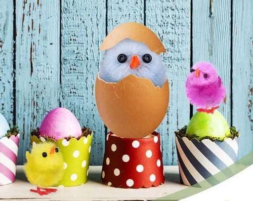 Mini Zestaw Edukacyjny StarterKit do nauki Arduino na Arena.pl