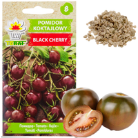 POMIDOR BLACK CHERRY KOKTAJLOWY WYSOKI GRUNTOWY 0,3G NASIONA POMIDORKI