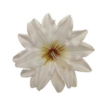 Dalia wyrobowa kremowa 12 szt