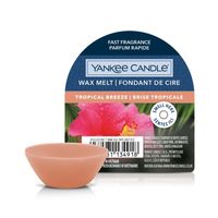 Yankee Candle TROPICAL BREEZE wosk zapachowy 22 g