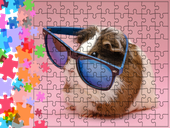 Puzzle tradycyjne Zwierzęta - Świnka Morska