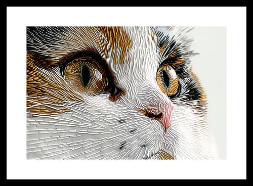 Plakat 30x20cm Nitkowany Kot na Arena.pl