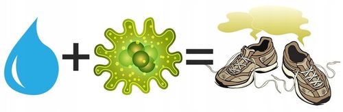 SUSZARKA DO BUTÓW OSUSZACZ DO RĘKAWIC SKARPET DIODA UV DEZYNFEKCJA OZONOWA na Arena.pl