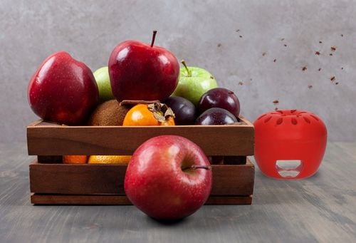 PUŁAPKA NA MUSZKI OWOCÓWKI Z WABIKIEM FRUIT FLY TRAP NO PEST NATURALNA na Arena.pl