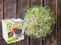 KIEŁKOWNICA TORAF NACZYNIE DO KIEŁKÓW DO UPRAWY W DOMU 3 SZALKI NA KIEŁKI