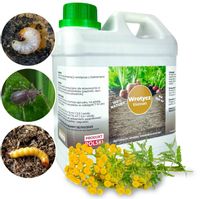 WROTYCZ EKSTRAKT ZWALCZA PĘDRAKI OPUCHLAKI NICIENIE DRUTOWCE W GLEBIE 2L