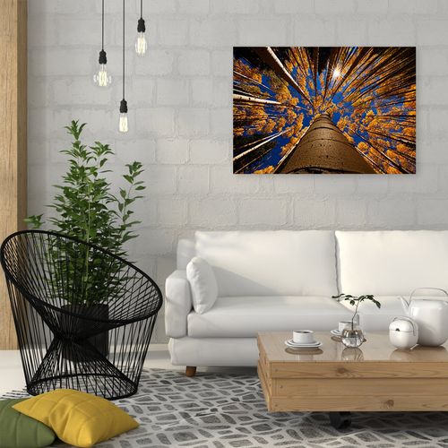 Obraz na płótnie – Canvas, korony drzew 60x40 na Arena.pl