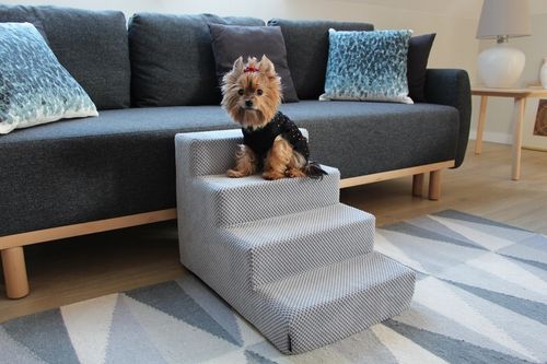 Schodki/schody dla psa na Arena.pl