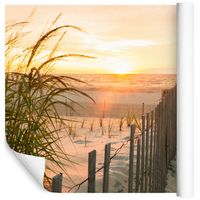 Fototapeta Plaża MORZE Krajobraz Natura do Salonu 450x300