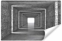 Fototapeta Do Biura Kamienny TUNEL Efekt 3D Abstrakcja 90cm x 60cm