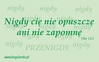 Magnes 46 na lodówkę Nigdy cię nie opuszczę ani