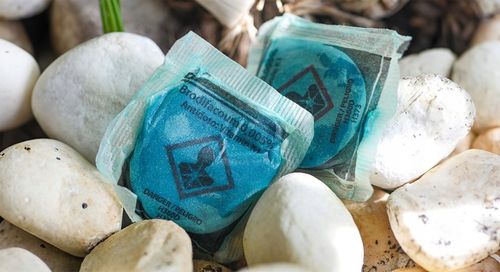 SILNA TRUTKA NA MYSZY I SZCZURY MURIBROM PASTA W SASZETKACH BRODIFAKUM na Arena.pl