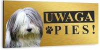 Tabliczka UWAGA ZŁY PIES BEARDED COLLIE złota