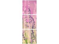 product-compare-58647734