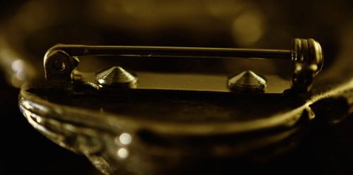 Chihuahua - klips - 1609 na Arena.pl