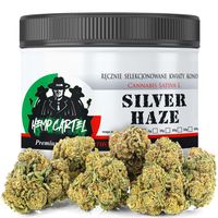 Susz konopny CBD | Silver Haze | HOLENDER | 10g