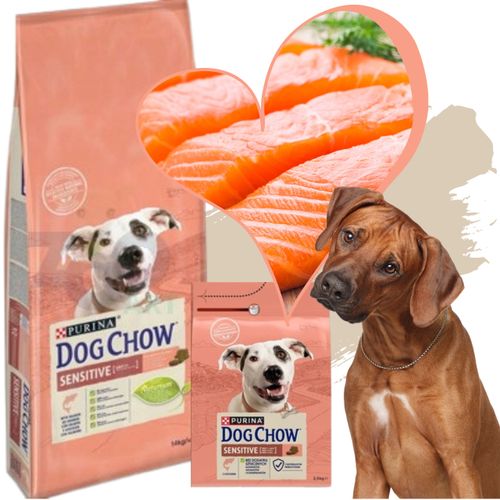 sucha karma psa purina dog chow łosoś z prebiotykiem 14kg + 2,5kg gratis na Arena.pl