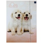 Teczka Z Gumką A4+ Lux Puppy Sign  5406 A"10