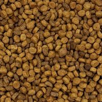 10kg MAXIPET Sucha karma dla kota pełnoporcjowa wołowina