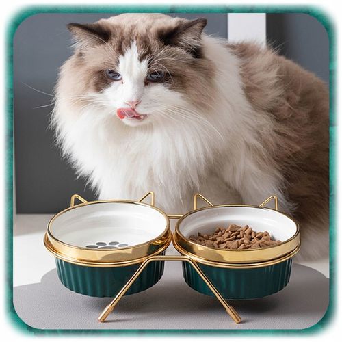 ZESTAW 2SZT MISKA DLA KOTA PSA PODWÓJNA CERAMICZNA NA STOJAKU Miski 2x300ml na Arena.pl