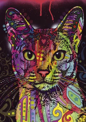 Puzzle 2000 elementów. Kot abisyński na Arena.pl