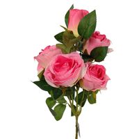Róża gałązka x5 różowa cieniowana LE615-3