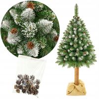 Choinki Marzeń CHOINKA NA PNIU SOSNA DIAMENTOWA *PREMIUM* 160cm +