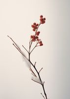 Plakat 67,5x95cm Subtelna Siła Zimy