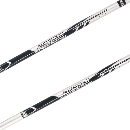 Kije nordic walking BEST SPORTING 2-sekwencje na Arena.pl