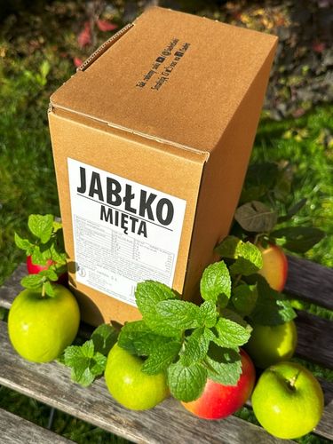 Sok jabłko mięta 100% jabłkowy z miętą NFC 5L na orzeźwiającą lemoniadę na Arena.pl