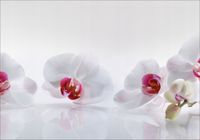 Fototapeta 3D kwiaty storczyki do salonu 200x130