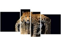 OBRAZ DZIKI KOT LAMPART