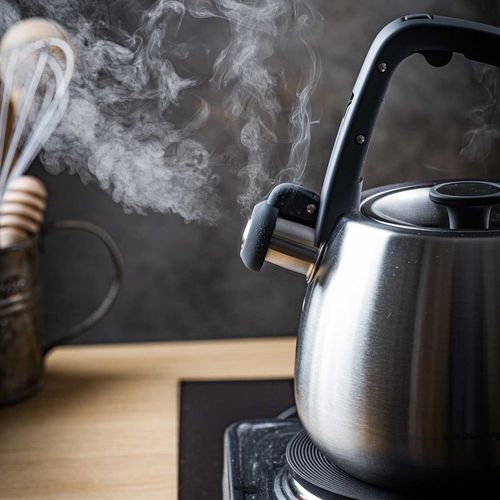 czajnik stalowy z gwizdkiem 2,5l klausberg kb-7773 na Arena.pl