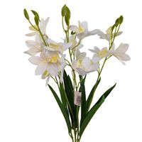 product-compare-61190435