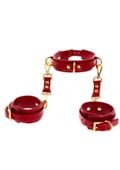 d ring collar and wrist cuffs red